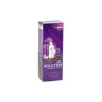 Koleston H/col Burgundy 304/6